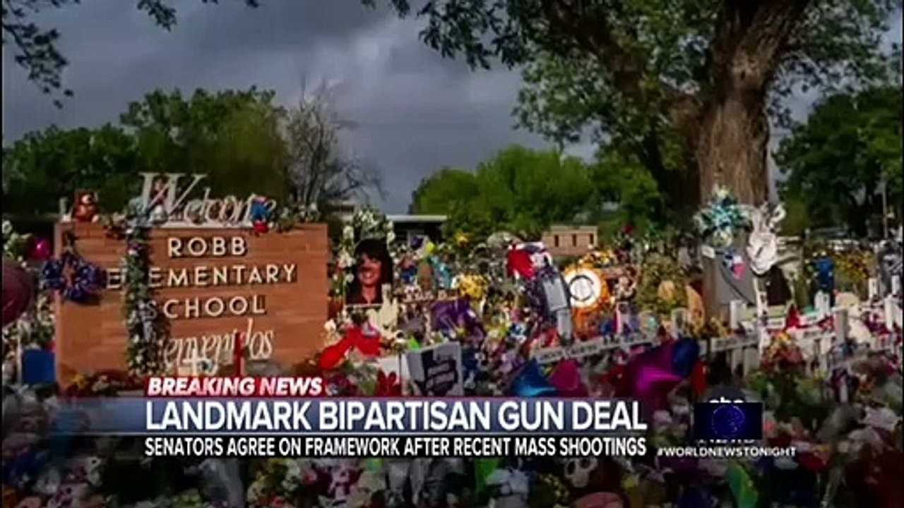 Bipartisan group of senators reaches agreement on gun reform