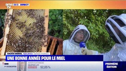 Pourquoi la récolte de miel s'annonce abondante cette année