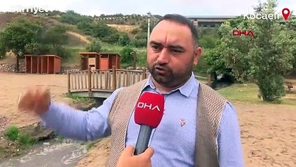 Kömür tozları yağmurla dereye aktı, İzmit Körfezi karardı