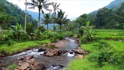 Susana of nature is beautiful and natural