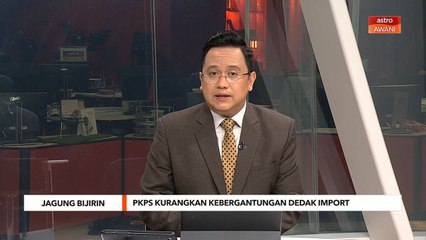 Jagung Bijirin | PKPS kurangkan kebergantungan dedak import
