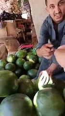 حمرا وبـ ١٠ جنيه.. لا دي مش الطماطم دي حاجة أكبر شوية والأجانب هيتجننوا من طعمها