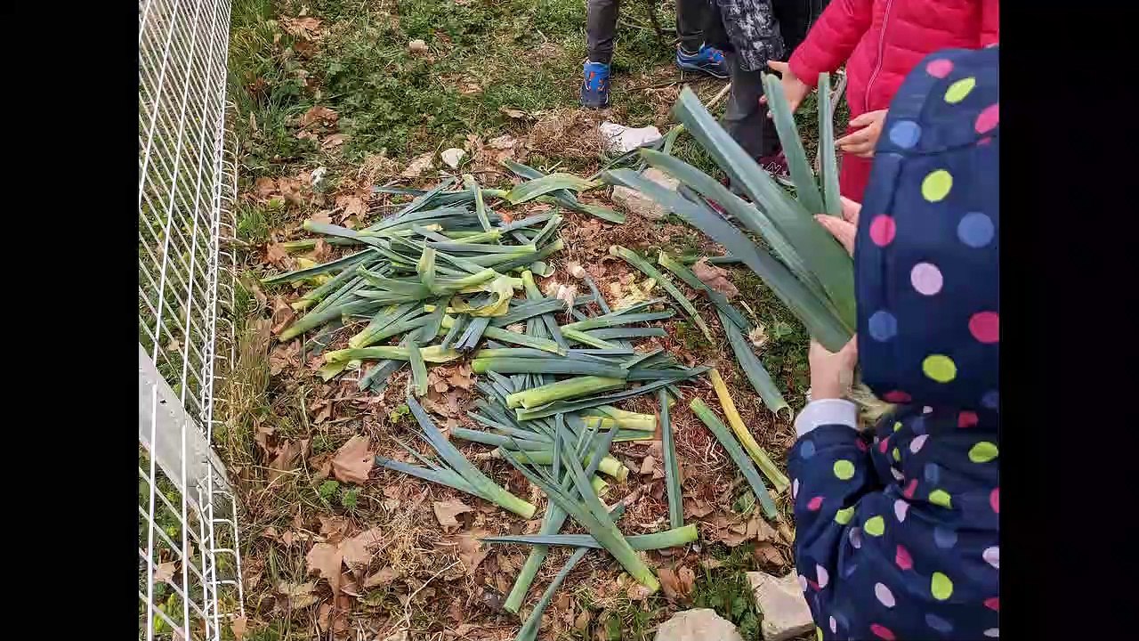 Défi « Biodiversité 2021-2022» - Ecole de Mormoiron (Classes de MS-GS)