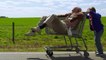 Jackass: Bad Grandpa - Trailer zum neuen Jackass-Film