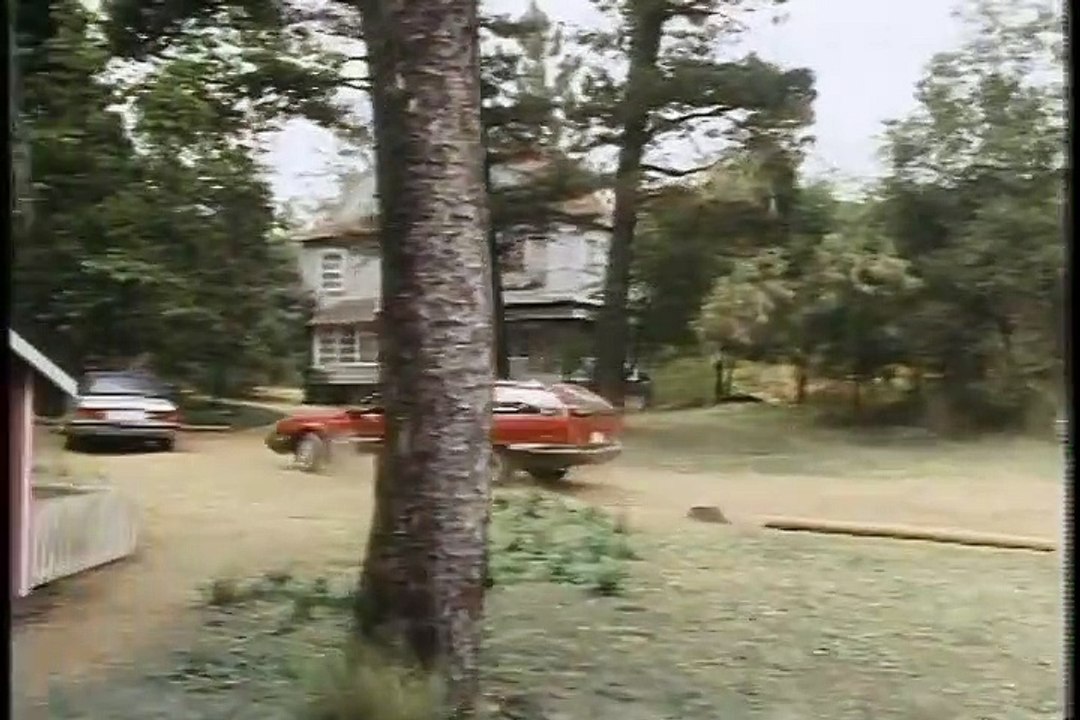 Strays (1991) - Trailer