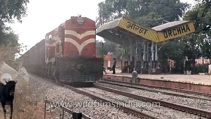 Orchha railway station, with WDG-3A train chugging in