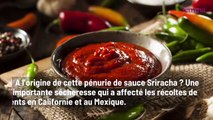 Après la moutarde et l’huile de tournesol, cette célèbre sauce va, elle aussi, connaître une pénurie