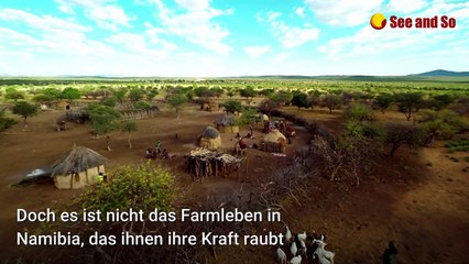 下载视频: 200 Kilometer in den Kindergarten: Leben in Namibia bringt 