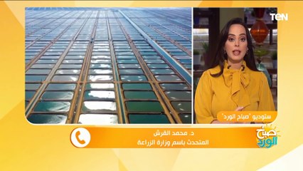 المتحدث باسم الزراعة يكشف جهود الدولة في تطوير الثروة السمكية والثروة الداجنة واللحوم