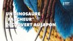 Un nouveau dinosaure "faucheur" aux griffes redoutables découvert au Japon