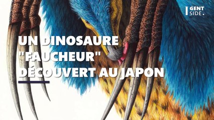 Un nouveau dinosaure "faucheur" aux griffes redoutables découvert au Japon