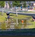 Il veut récupérer son ballon dans une grande flaque d'eau sans mouiller autre chose que ses mains