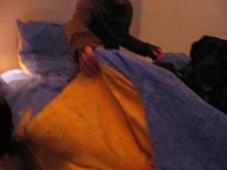 sushi tu m'pètes les couettes!