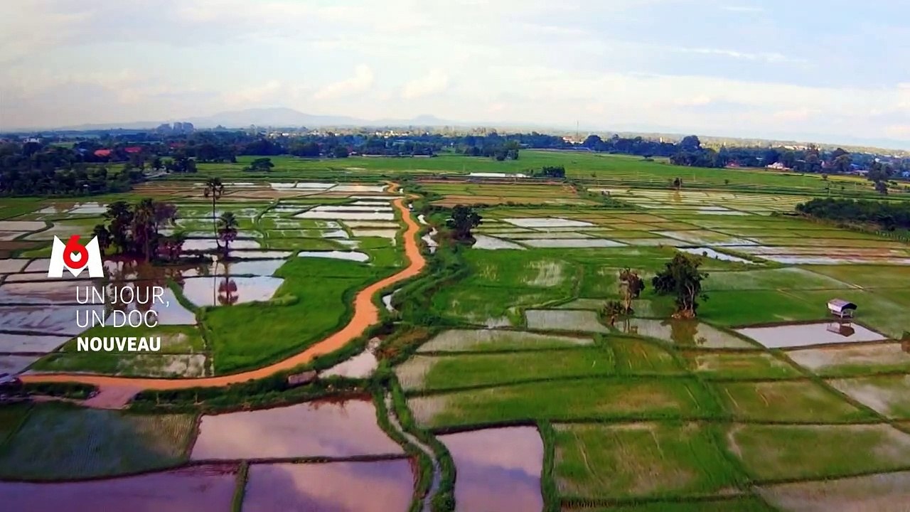 "Un jour, un doc" : La bande-annonce des nouveaux après-midis de M6