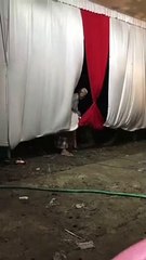 Makin Tua Makin Jadi