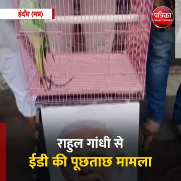 इंदौर (मप्र): कांग्रेसियों ने ईडी के खिलाफ किया प्रदर्शन