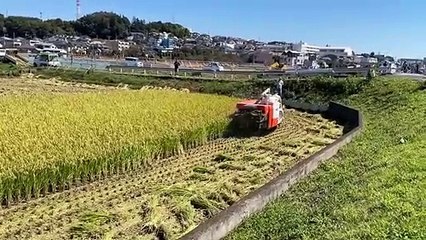 Rusya-Ukrayna krizi dünyayı altüst etti! O gıda ürününü marketlerde göremeyebiliriz: Yeni kriz kapıda