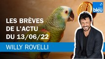 Les brèves de l'actu du 13/06/22 - Le billet de Willy Rovelli