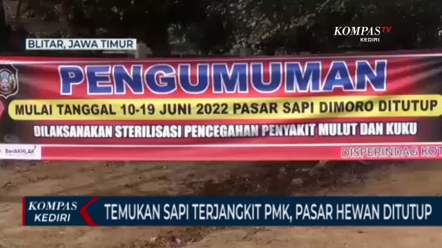 Temukan Sapi Terpapar PMK, Pasar Hewan Kota Blitar Ditutup Sementara
