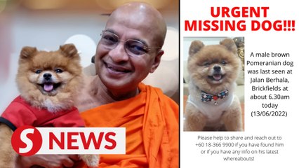 Chief monk wants his dog back