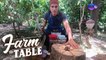 Farm To Table: Chef JR Royol’s eventful visit to Brookside Hills Leisure Farm| Full Episode