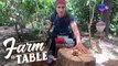 Farm To Table: Chef JR Royol’s eventful visit to Brookside Hills Leisure Farm| Full Episode
