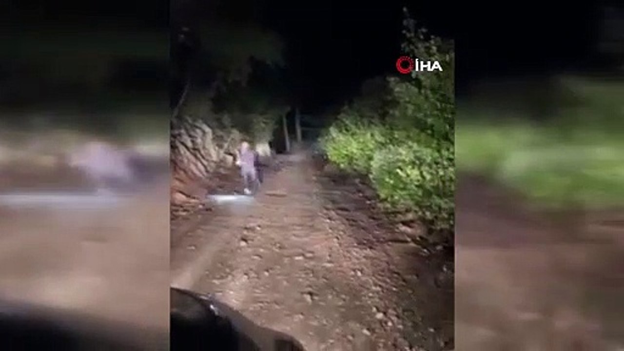 Domuzun saldırısından kıl payı kurtuldu