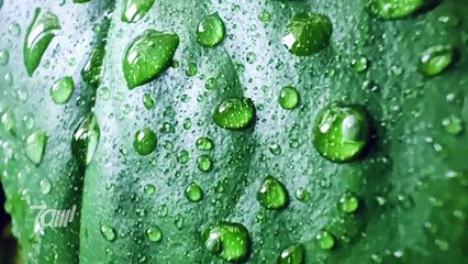 مراجعة هاتف هونر ماجيك 4 برو Honor Magic 4 Pro ⭐⭐⭐⭐⭐