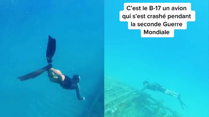 'Divers' curiosity leads to the discovery of a sunken World War Two plane '