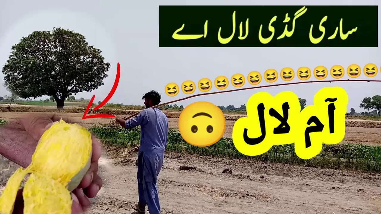 Sari Gadi Lal Ha Funny | Sari Gadi Laal Ae | Lal aye Lal aye Sari gadi lal aye