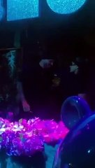 ¡Dale, miénteme! El sensual baile de Tini a De Paul por su cumpleaños