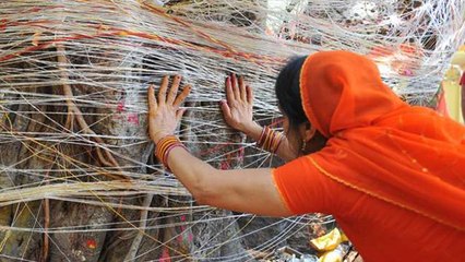 Vat Purnima 2022: वट पूर्णिमा व्रत रखना क्यों जरूरी | Vat Purnima Vrat Rakhna Kyu Jaruri | *Religion