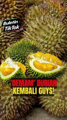 下载视频: 'Demam' durian kembali guys!