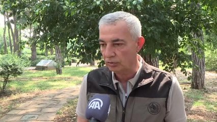 Gazetecilerle sosyal medya fenomenlerine "Orman Yangını Gönüllü Eğitimi"