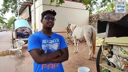 கோவையில் இன்னும் இருக்கு குதிரை வண்டிகள்; வருமானம்தான் குதிரைக் கொம்பு!