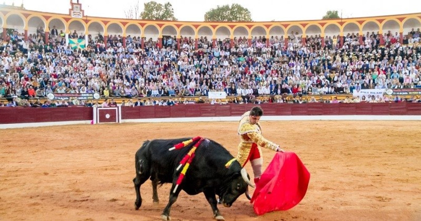Les corridas désormais interdites dans les arèn...