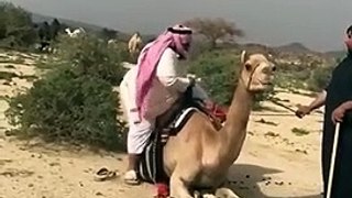 Best Funny Videos, Comedy Shots, Memes and Jokes