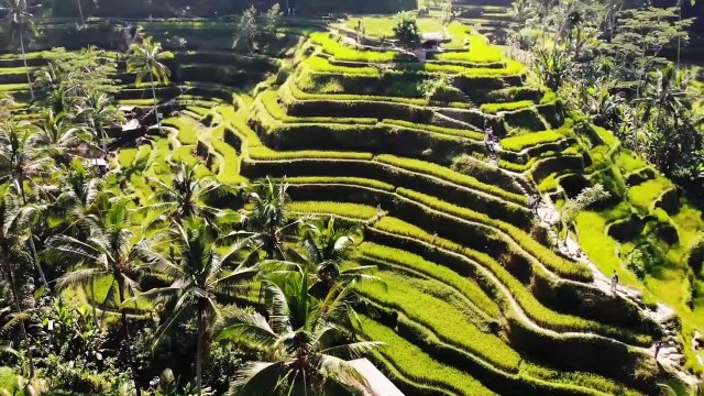 20 BEST PLACES TO VISIT IN INDONESIA - WISATA TERBAIK DI INDONESIA (INDONESIA TOURISM)