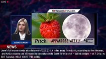 A strawberry supermoon will illuminate the skies this week. Here's what to know. - 1BREAKINGNEWS.COM