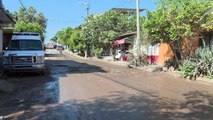 Baches y fieros perros atemorizan a los vecinos de Loma Bonita| CPS Noticias Puerto Vallarta