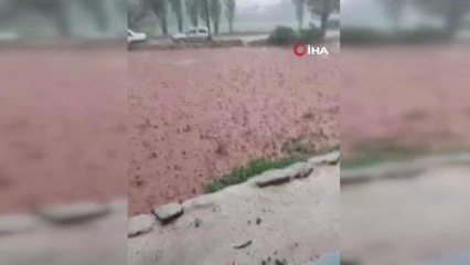 Etkili olan sağanak dereleri taşırdı