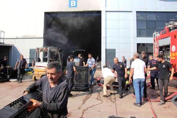 Kocaeli'de geri dönüşüm fabrikasında yangın