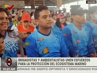 Sucre | Juramentan brigada protectora para controlar el coral invasor unomia stolonifera en Mochima