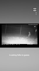 TX Zoo Captures Image of Unidentified Creature