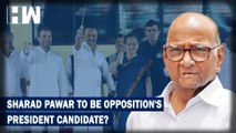Opposition Meetings Hint Sharad Pawar Could Be Its Candidate For President's Poll| Mamata Banerjee