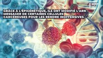 Les chercheurs ont trouvé comment transformer des cellules cancéreuses en cellules saines, une avancée majeure