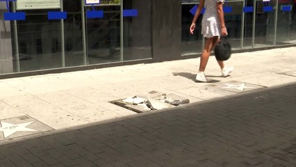 La estrella de Penélope Cruz en el 'Paseo de la Fama' de Madrid aparece rota