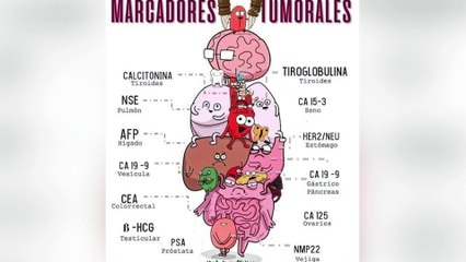 Enfermedades de las mujeres