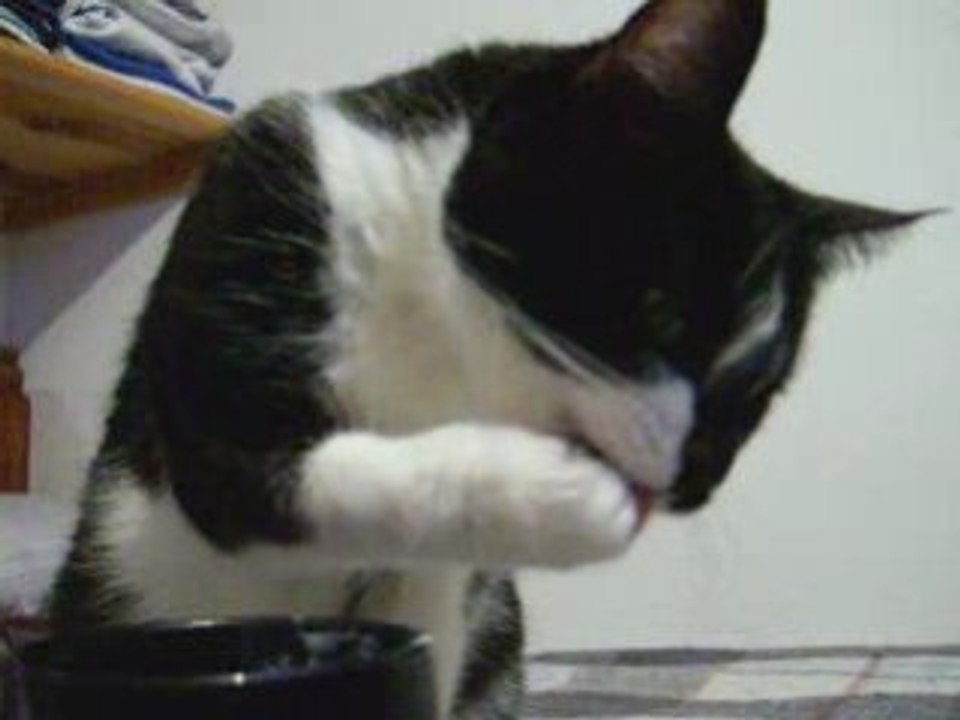 La Pechocha
