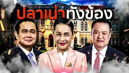 ปลาเน่าทั้งข้อง! | เนชั่นกรองข่าว | NationTV22